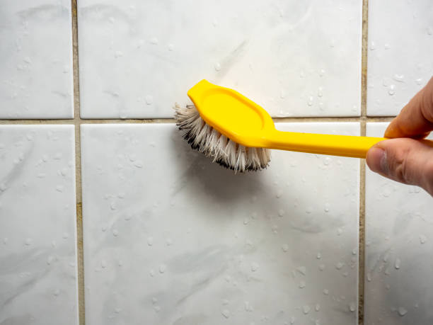 Best Mold Testing  in South River, NJ